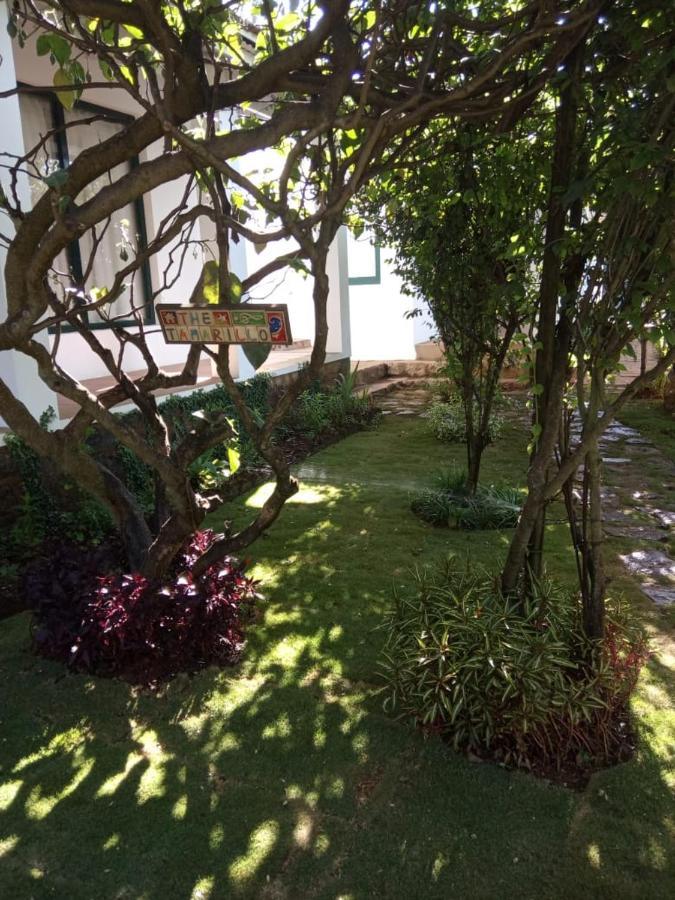 The Tamarillo Ooty Exterior foto