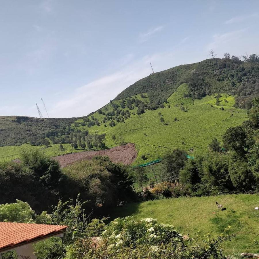 The Tamarillo Ooty Exterior foto