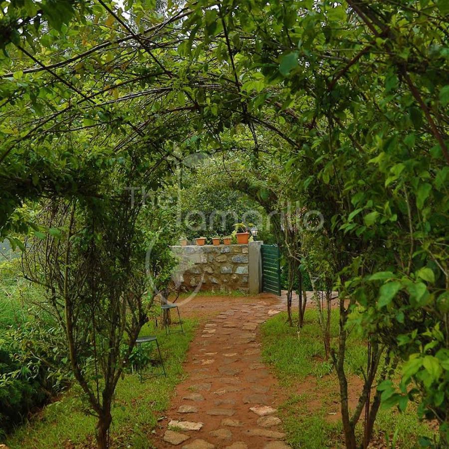 The Tamarillo Ooty Exterior foto